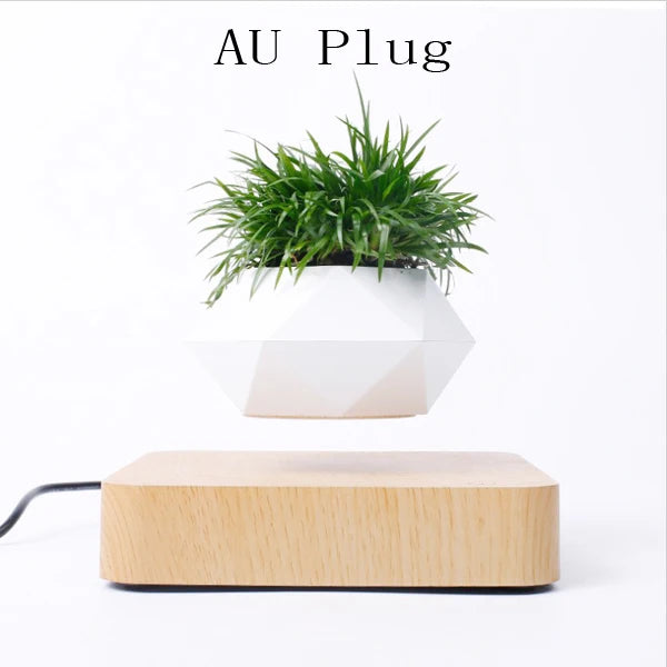 Pot de Fleurs en Lévitation