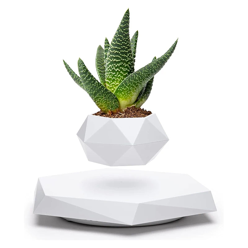Pot de Bonsaï à Lévitation