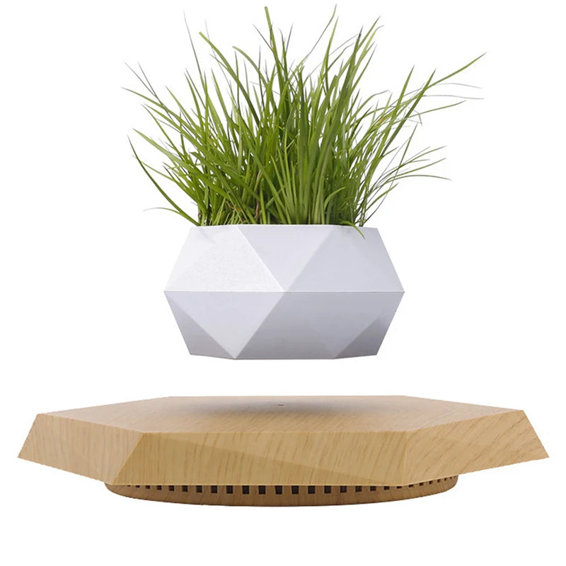 Pot de Bonsaï à Lévitation