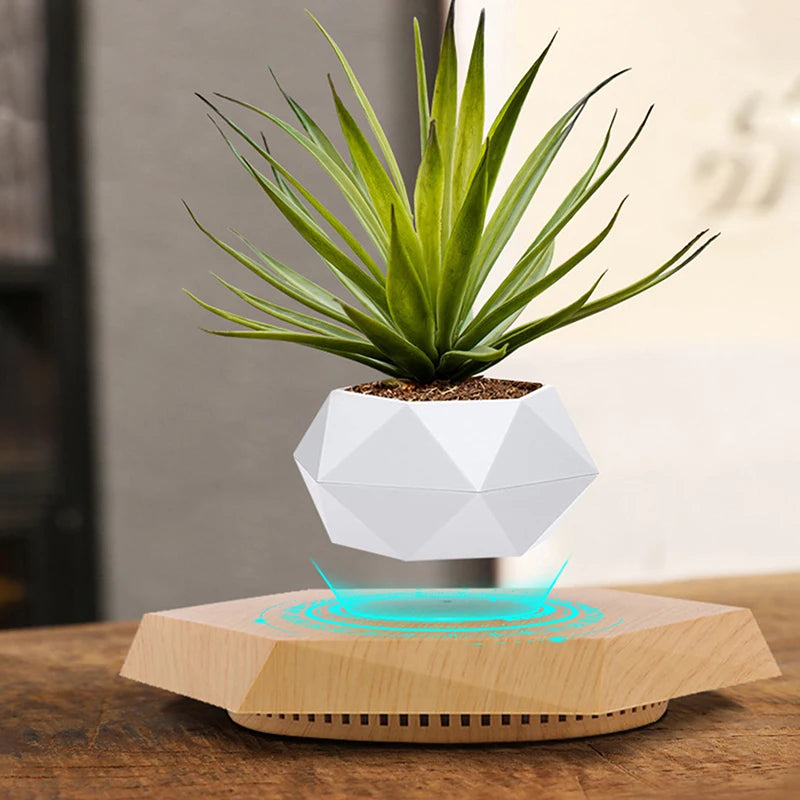 Pot de Bonsaï à Lévitation