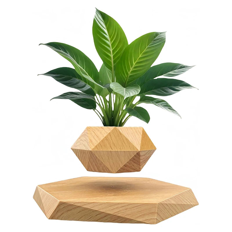 Pot de Bonsaï à Lévitation