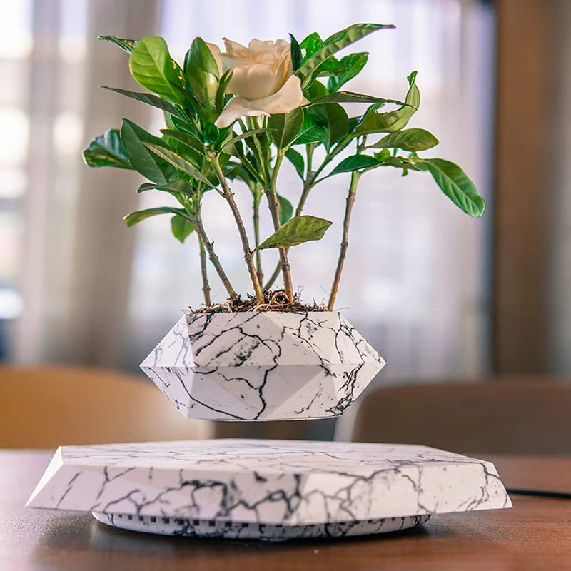 Pot de Bonsaï à Lévitation