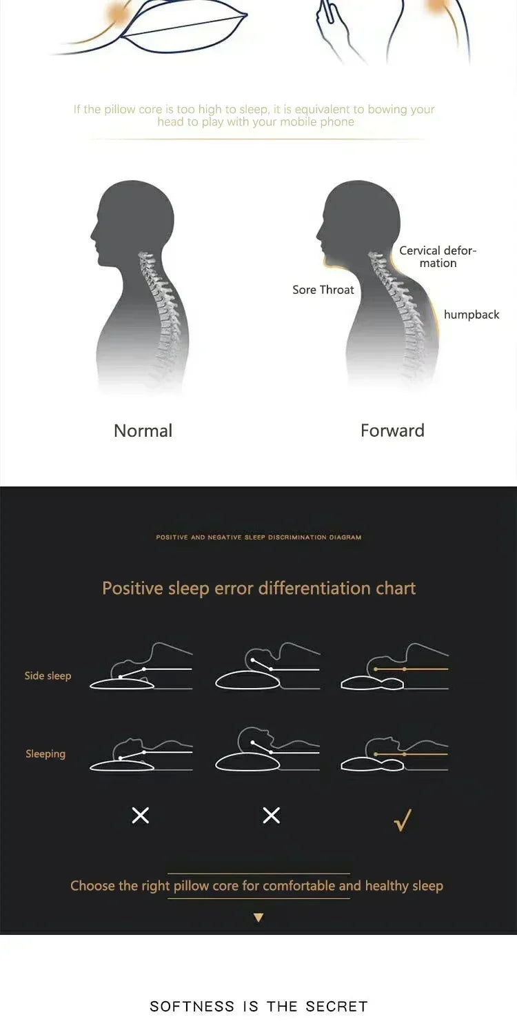 Oreiller Cervical orthopédique